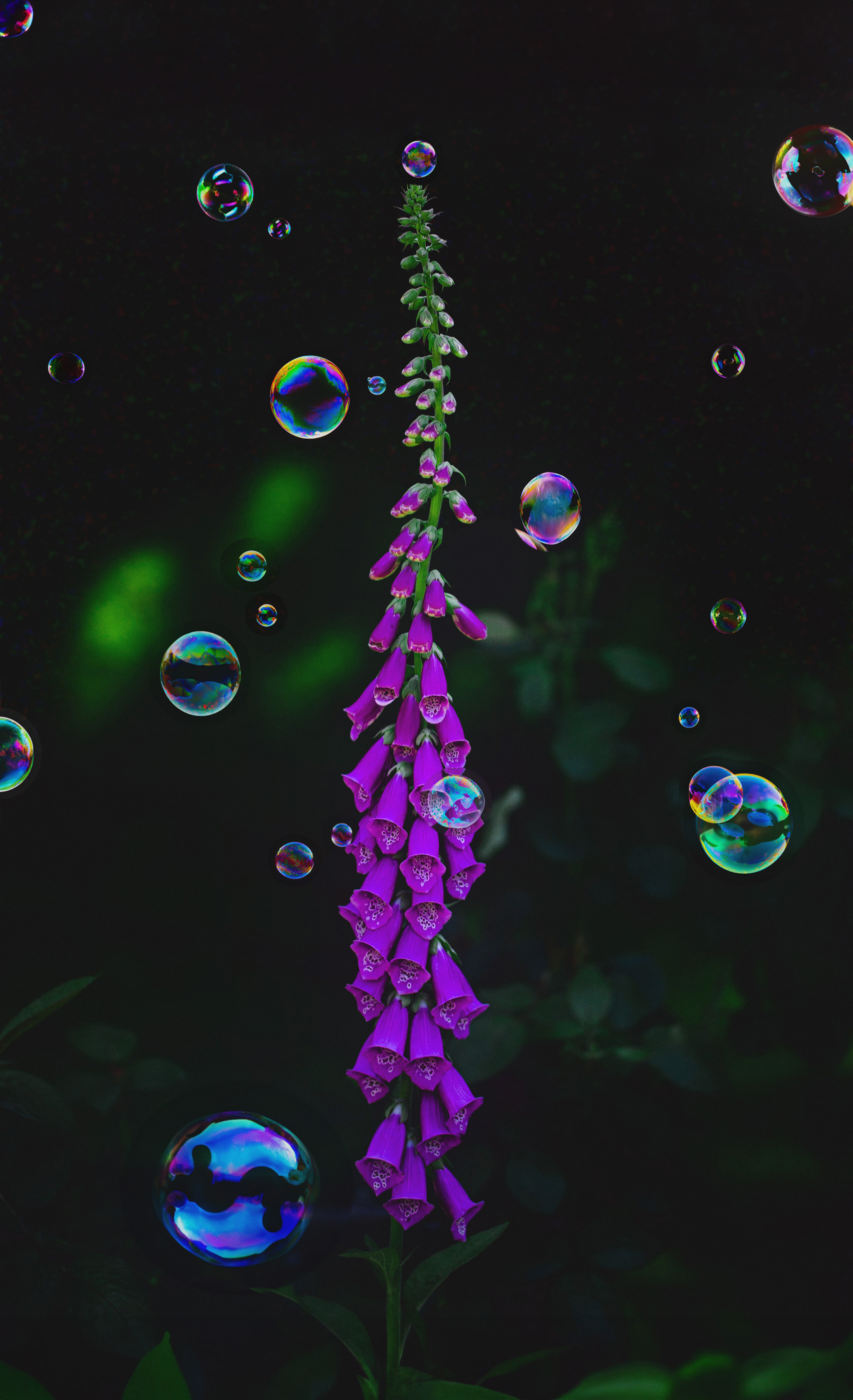 foxglove-bubbles
